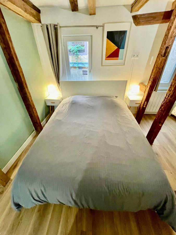 Strasbourg Magnifique Appartement Centre Ville Petite France מראה חיצוני תמונה